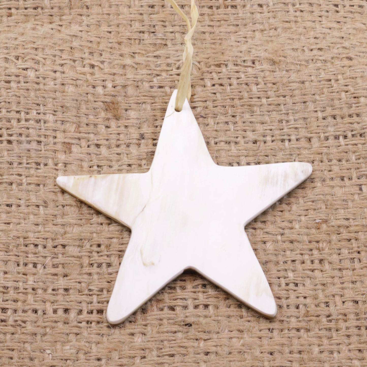 Star Ornament, Cow Horn
