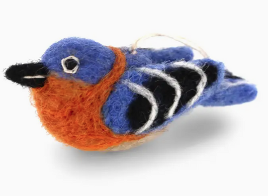 bird, eastern blue