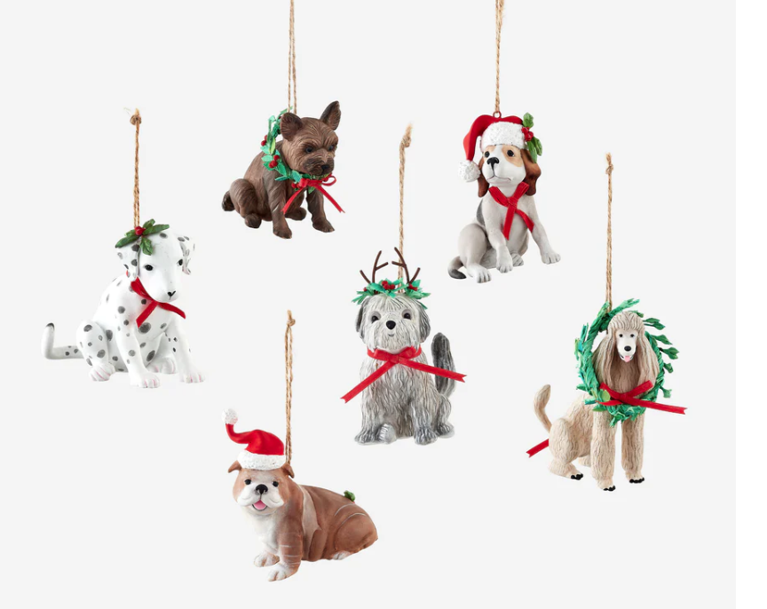 Santa Paws Pet Ornament - 6 Assorted