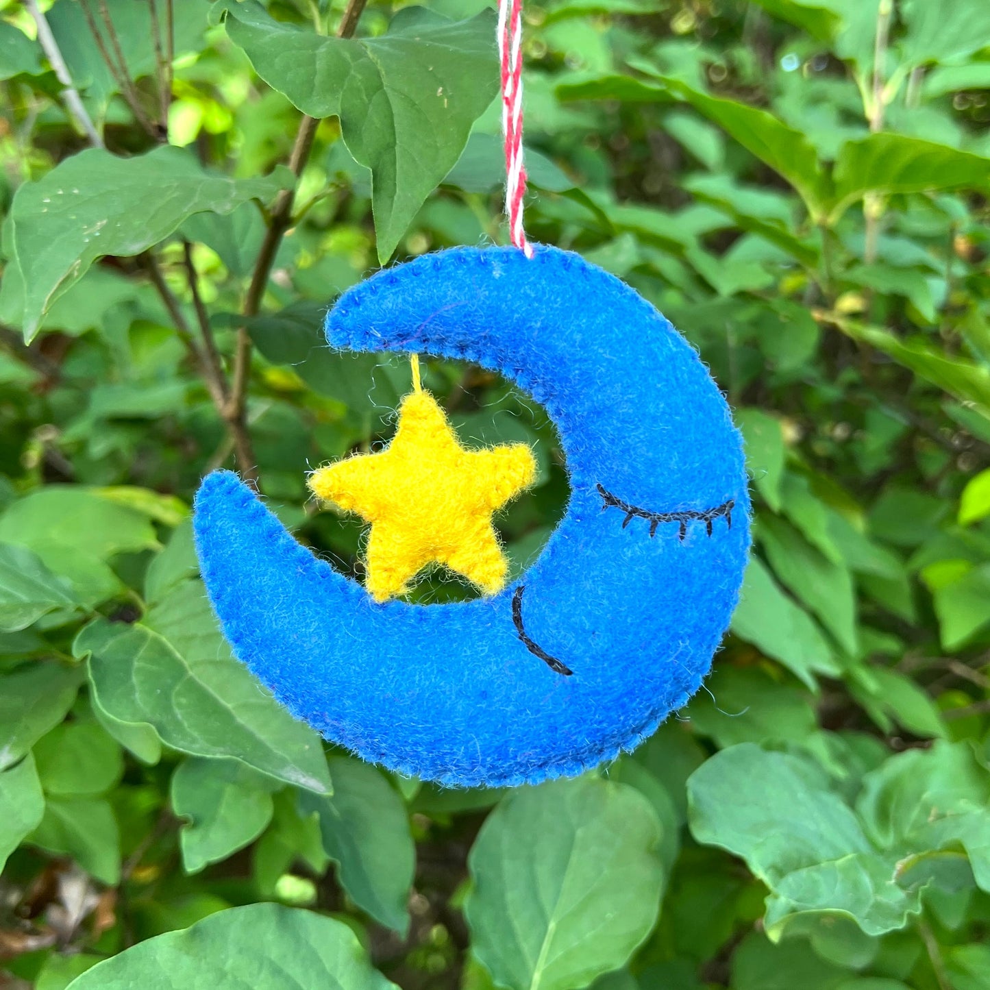 Moon and Star Felt Wool Ornament