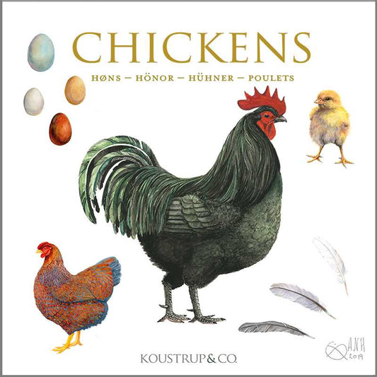 Chicken Note Cards