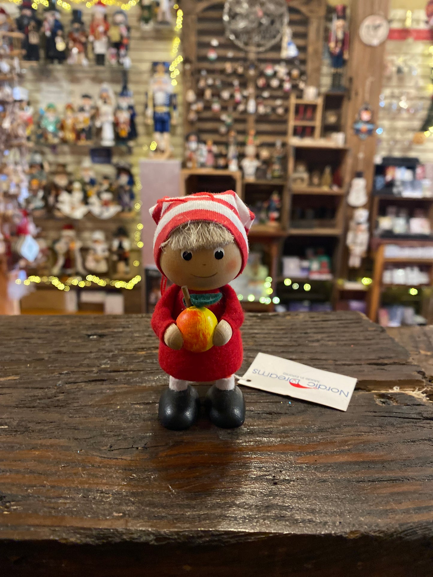 Boy or Girl Gnome with Apple