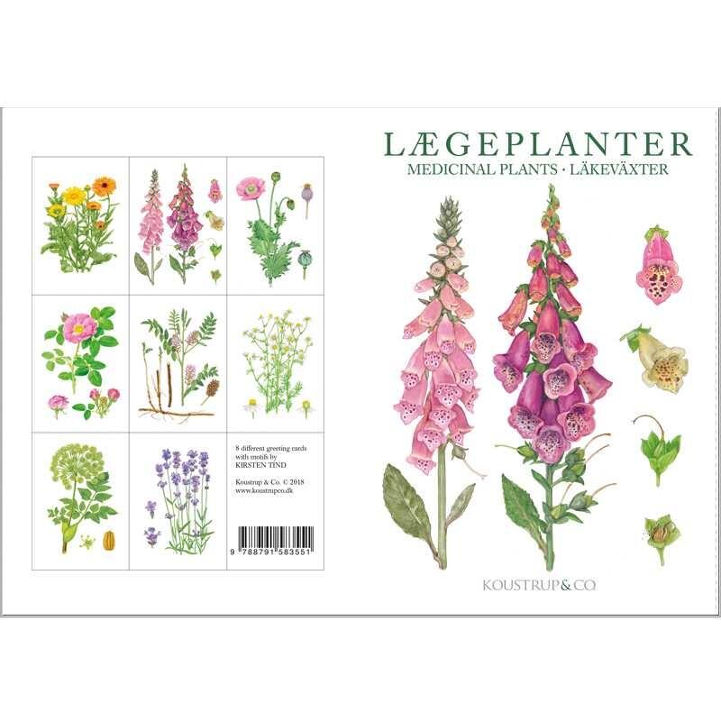 Card Folder with 8 Greeting Cards - Medicinal Plants