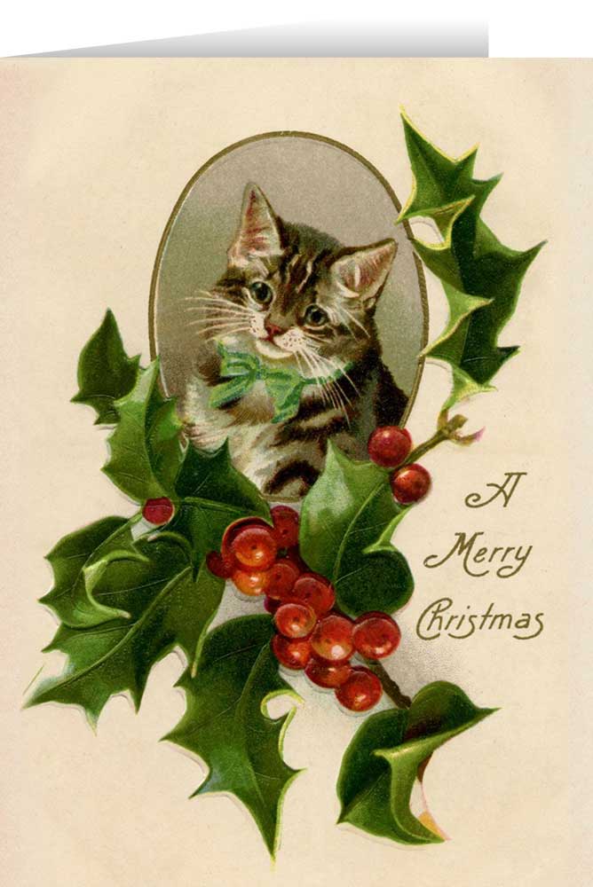Vintage Kitten with Holly Christmas Cards (Box of 25)