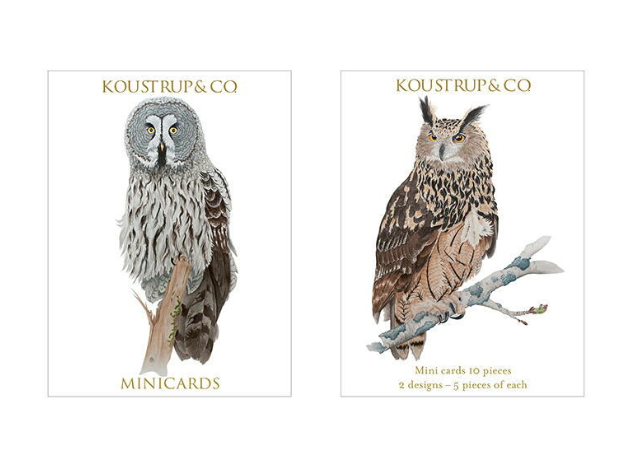 Mini Cards with 10 Cards - Barn Owl