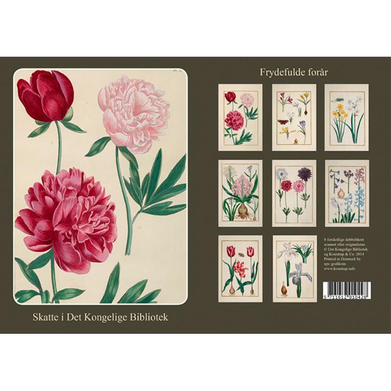 Card Folder with 8 Greeting Cards - Joyous Spring